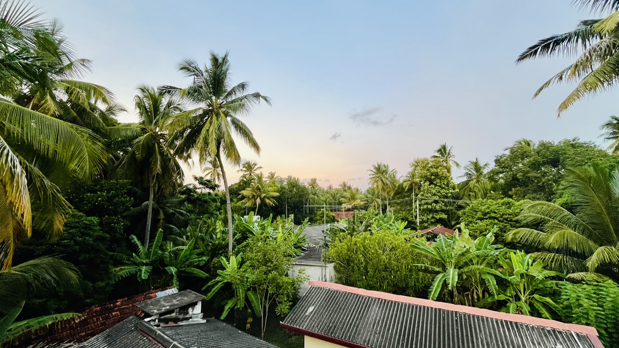 Home – Kurunegala, garden at sunset